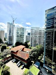 The Peak @ Cairnhill II (D9), Apartment #464487761